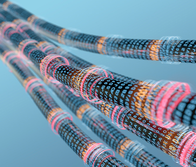 以嚴(yán)苛管理鑄就卓越品質(zhì)