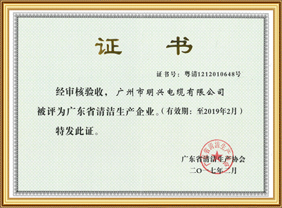 廣東省清潔生產(chǎn)企業(yè)